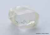 Clean White Rough Diamond High Value High Quality H Flawless Diamond 0.53 carat