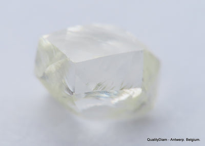 Clean White Rough Diamond High Value High Quality H Flawless Diamond 0.53 carat