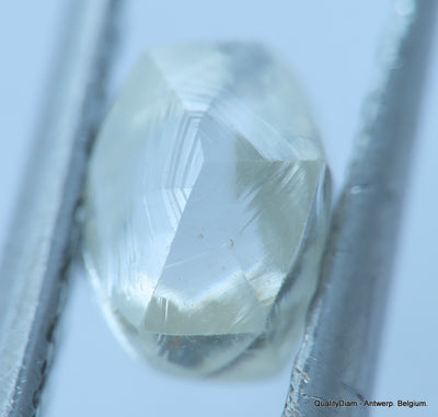 H VS1 natural diamond ideal for uncut diamond jewelry. Out from a diamond mine