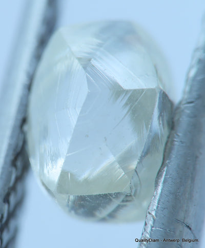 H VS1 natural diamond ideal for uncut diamond jewelry. Out from a diamond mine