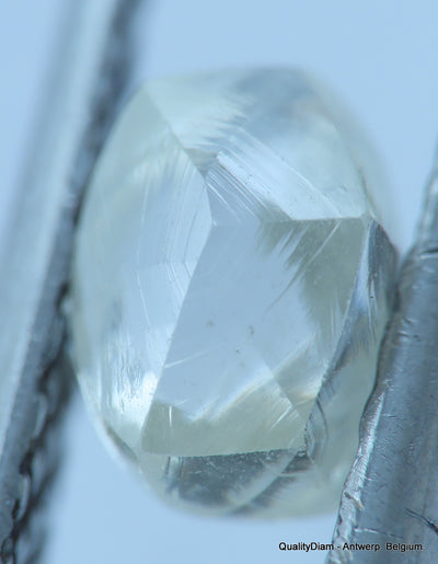 H VS1 natural diamond ideal for uncut diamond jewelry. Out from a diamond mine