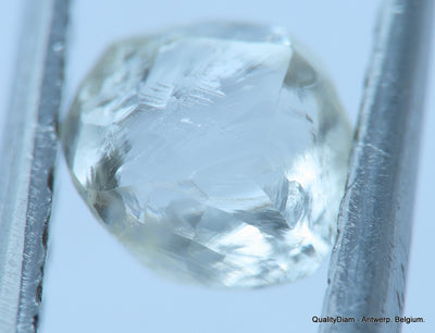 Ideal for rough diamond jewelry, natural diamond out from a diamond mine