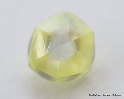 Beautiful diamond intense fancy yellow rare natural diamond mackle