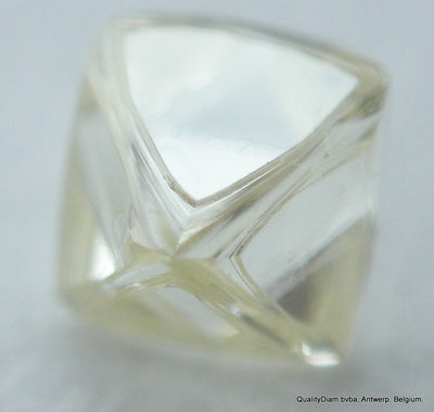 for rough diamond jewelry