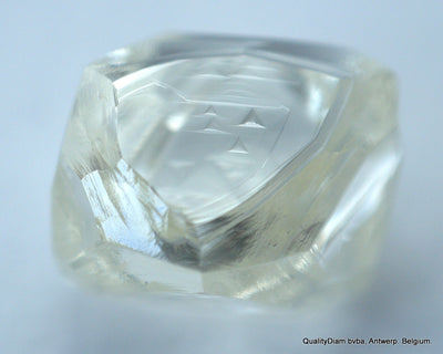 GENUINE ROUGH DIAMONDS