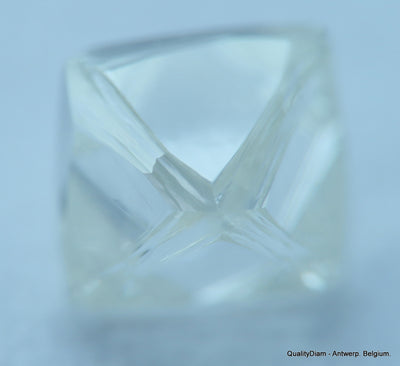 E Flawless, top end gemstone full white natural diamond out from a diamond mine