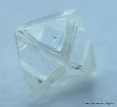 E Flawless, top end gemstone full white natural diamond out from a diamond mine