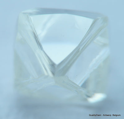 E Flawless, top end gemstone full white natural diamond out from a diamond mine