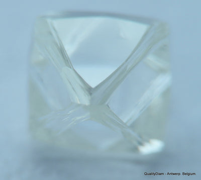 E Flawless, top end gemstone full white natural diamond out from a diamond mine