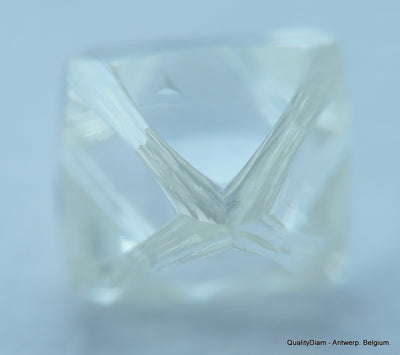 E Flawless, top end gemstone full white natural diamond out from a diamond mine